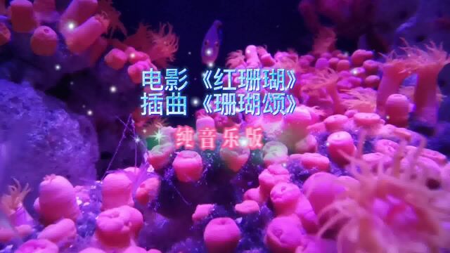 电影《红珊瑚》插曲《珊瑚颂》纯音乐版,音乐具有很强的民族风味.