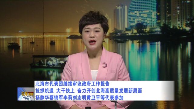 北海市代表团继续审议政府工作报告:抢抓机遇,大干快上,奋力开创北海高质量发展新局面