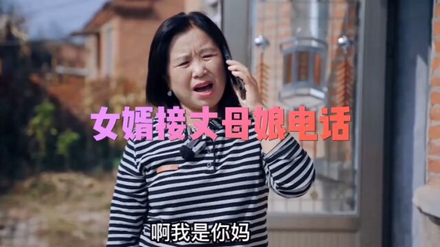 女婿接丈母娘电话 到底哪里搞笑 快来看看吧