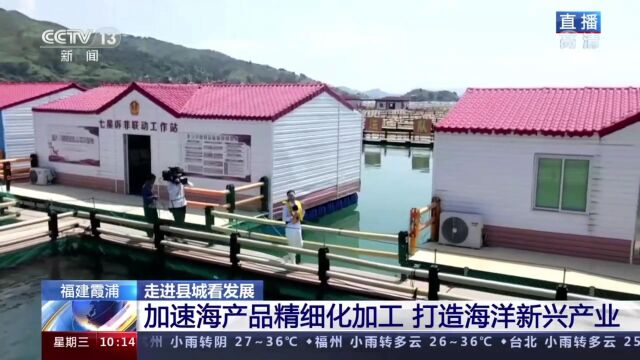 走进县城看发展御蓝记海参