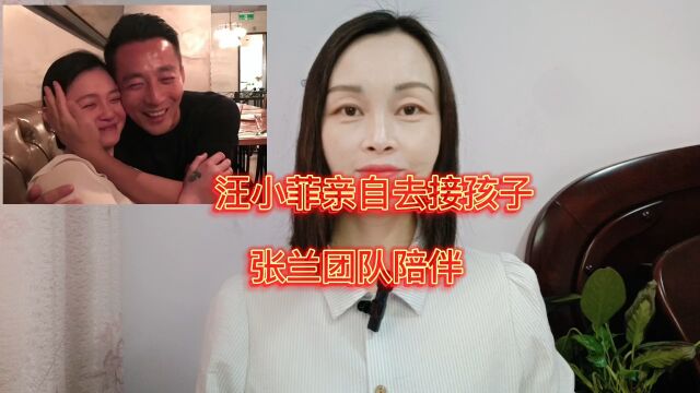 汪小菲要去台北,网友表示支持