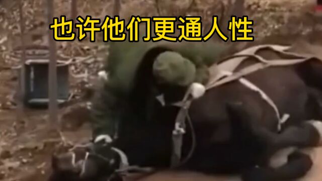 关于爱这件事,从不会犹豫!