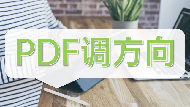 PDF调方向怎么弄