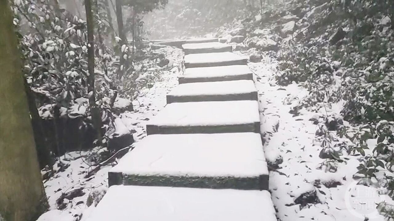 重庆开始下雪了 你的家乡下雪了吗