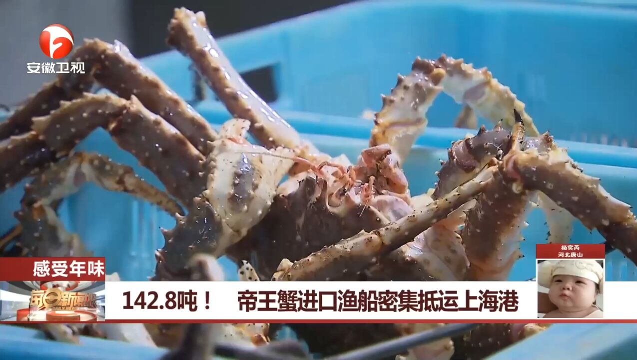 142.8吨!帝王蟹进囗渔船密集抵运上海港