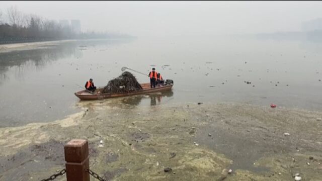 汉江河面堆积大量浮游物,一江两岸管办:正在蓄水,3天内清理干净