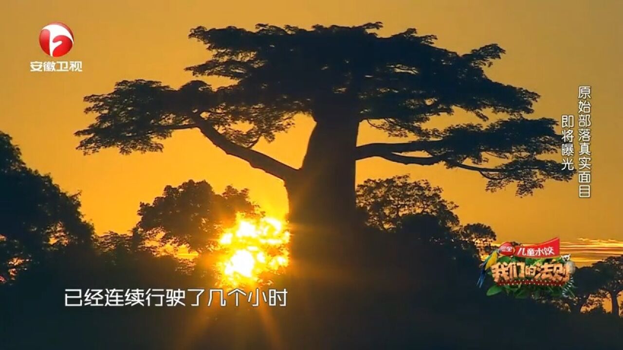 邢傲伟和原住民尬舞,独特的欢迎模式,让人长见识了|法则