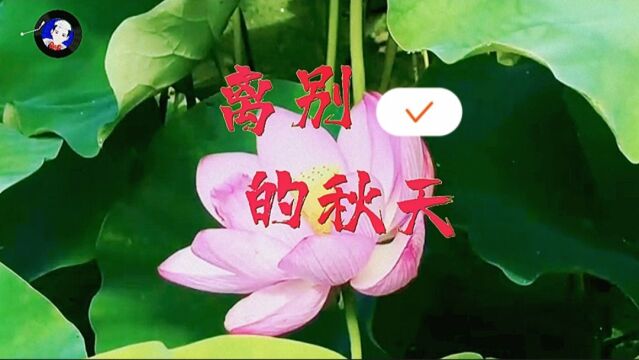 《离别的秋天》讲述了一个感人的故事,唱出了多少离别时的痛苦