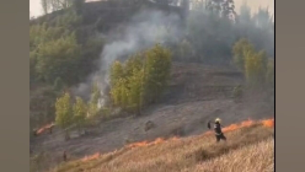 四川自贡一山体大面积起火 消防:初步判定上坟引起