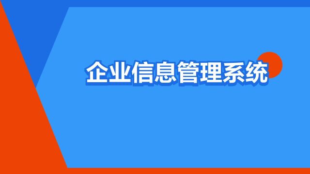 “企业信息管理系统”是什么意思?