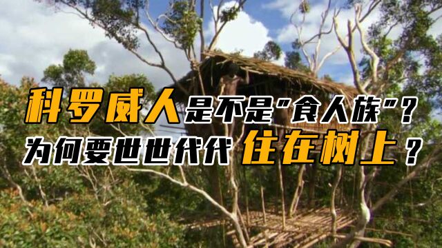 不走寻常路的科罗威人,把家安在50米高树上,“以人为食”是谣传