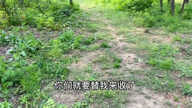 等了三天两夜的渔网以为要失望而归了没想到竟然有惊喜