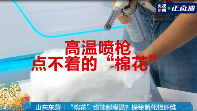 中央广播电视总台特别直播节目丨现场直播东珩国纤氧化铝纤维项目 官网 http://donghengguoxian.com/