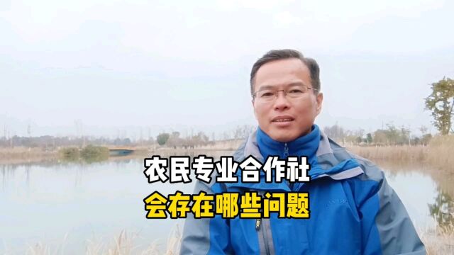 农民专业合作社,会存在哪些问题?