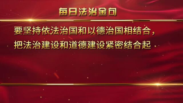 【每日法治金句】第50期