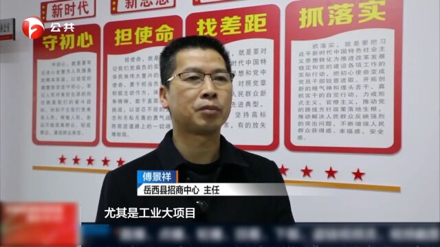 岳西:深化“一改两为”,跑出招商引资“加速度”