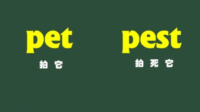 一秒钟教你记住Pet和Pest