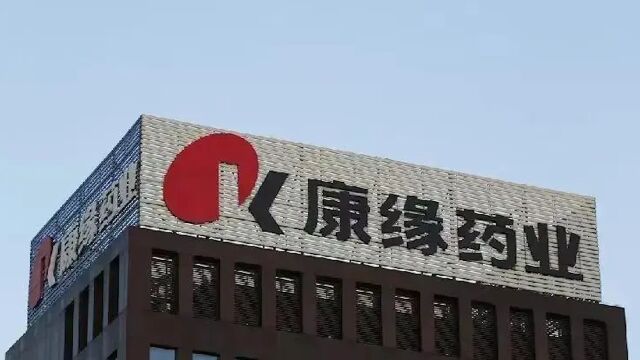 江苏康缘集团被强制执行80万