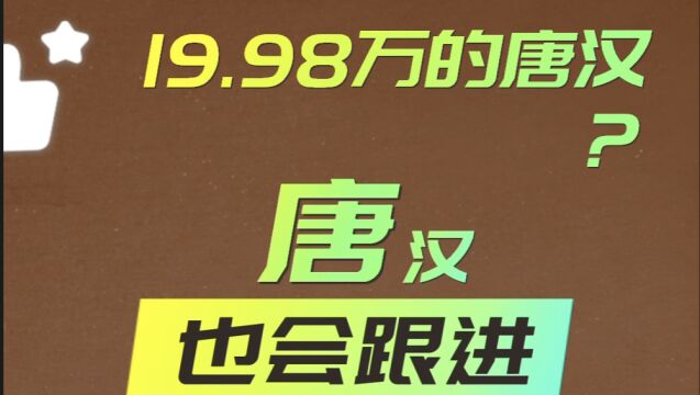 比亚迪唐汉也跟进降价,19.98万起?为中期改款铺路,出手吗?