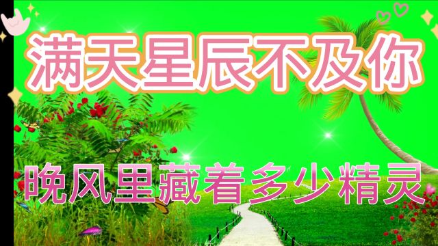 《满天星辰不及你》完整版