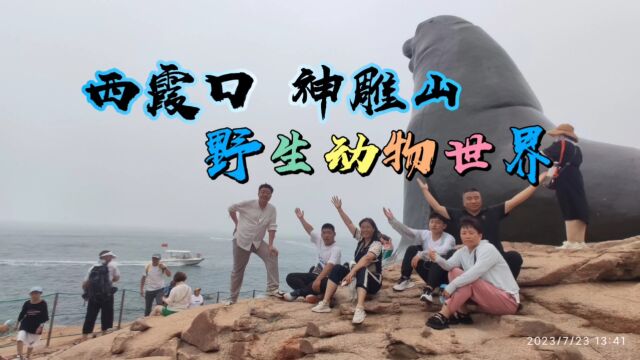 西霞口 神雕山野生动物世界#威海旅游攻略#西霞口野生动物园#西霞口神雕山野生动物世界#快乐时光#西霞口野生动物园