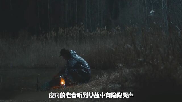 2022年上映的推理悬疑片,无数网友奉为中国版《杀人回忆》电影解说宅家剧场 1