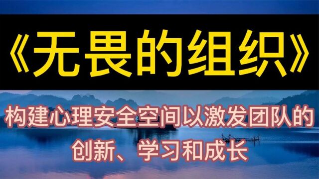 每天听本书:《无畏的组织》构建心理安全空间以激发团队的创新