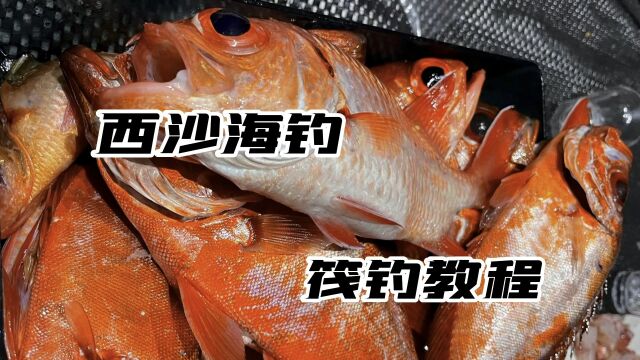 西沙海钓新手筏钓入门教程出道即巅峰