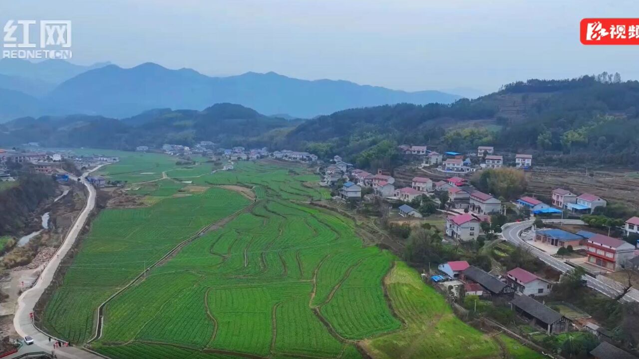 宁芬芳:乡野丫头何以“芬芳”丨沾泥土的建议“生长”记①