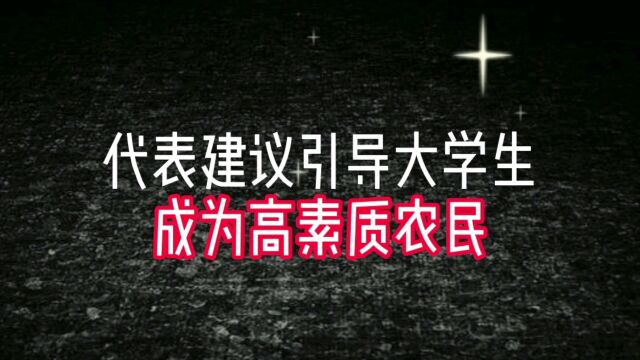 代表建议引导大学生成为高素质农民