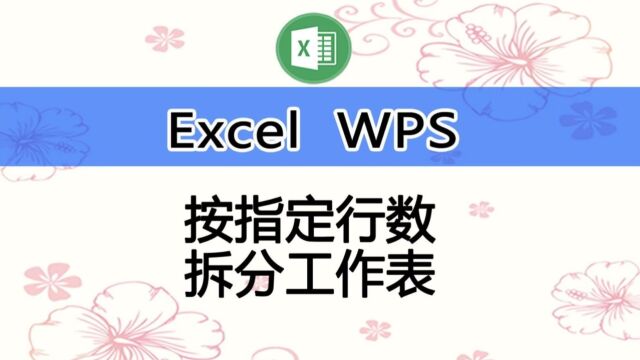 在Excel、WPS中按行拆分工作表的两种方法,手把手教学,一学就会哦