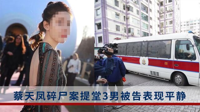 蔡天凤碎尸案押至5月再审,受害人前婆婆申请保释被拒