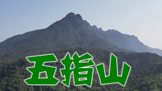 五指山风景区,仰望海南岛第一高山,进入热带雨林风光游览