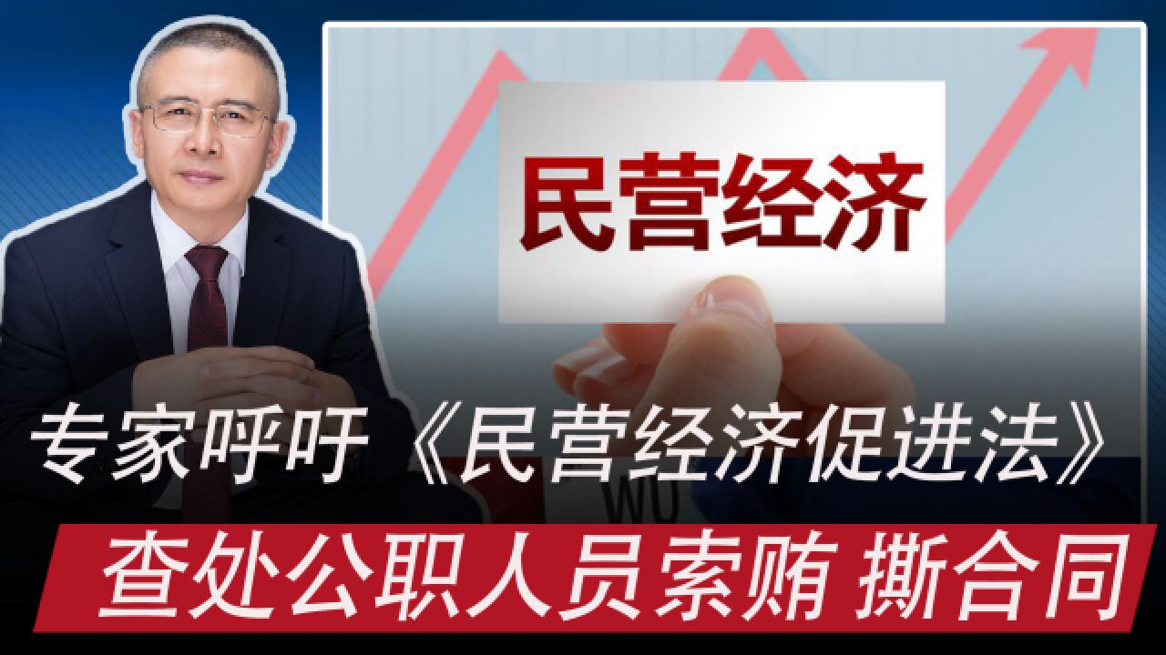 专家建议出台《中国民营经济促进法》:严查公职人员索贿、撕合同