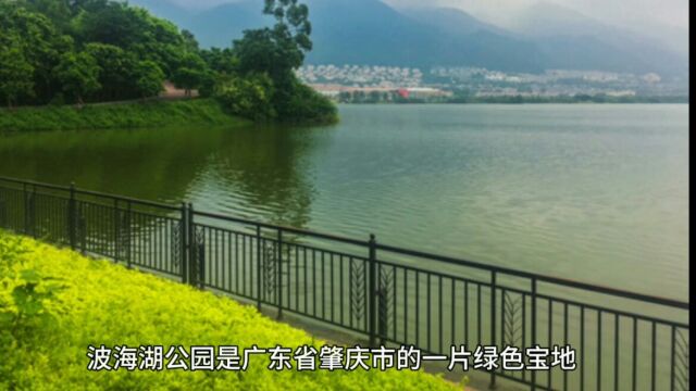 广东省肇庆波海湖公园