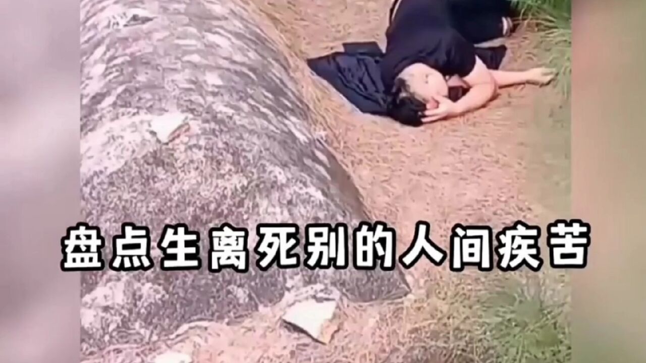 盘点生离死别的人间疾苦