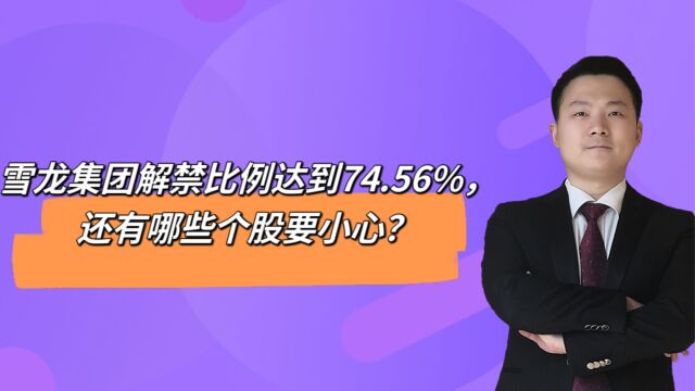 雪龙集团解禁比例达到74.56%,还有哪些个股要小心?