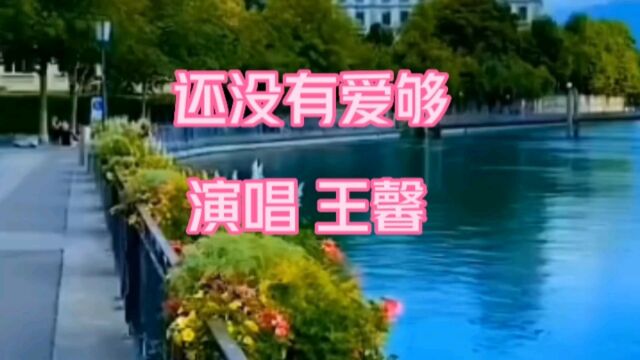 还没有爱够 演唱 王馨