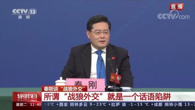 外交部长秦刚就“中国外交政策和对外关系”相关问题答记者问