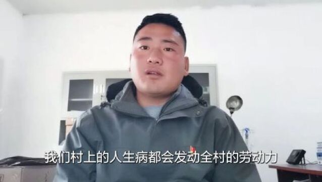 【奋进的中国人ⷤ𘤤𜚦–𐩝⥭”】阿布洛哈村的“归巢燕”