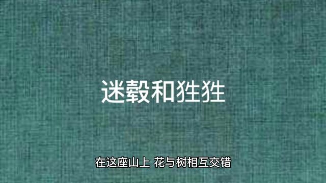 第三集 山海经之迷毂和狌狌