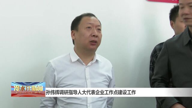 孙纬辉调研指导人大代表企业工作点建设工作