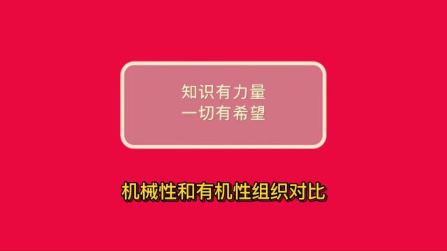 德理创新组织进化——机械性和有机性组织对比