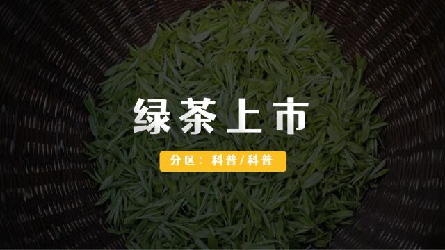 绿茶的上市时间,全解.