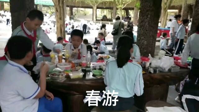 海口火山口公园(2/4)