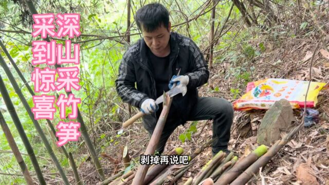 农忙过后,小伙进山采竹笋,结果太惊喜了