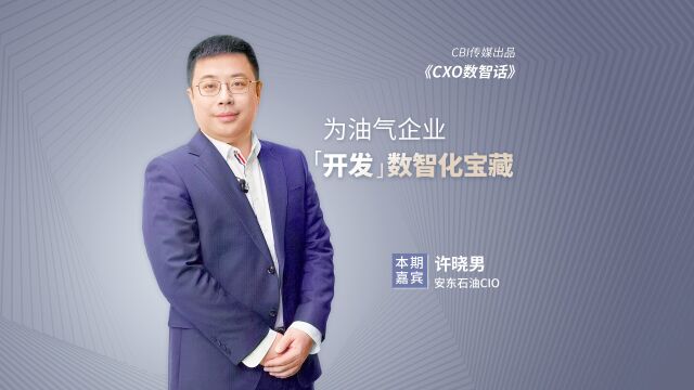 第6期完整版 | 许晓男:为油气企业“开发”数智化宝藏 | CXO数智话