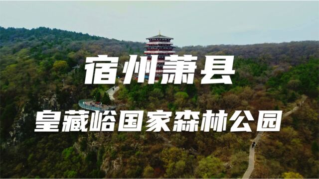 相约安徽ⷥ‘春而行 | 宿州萧县皇藏峪国家森林公园