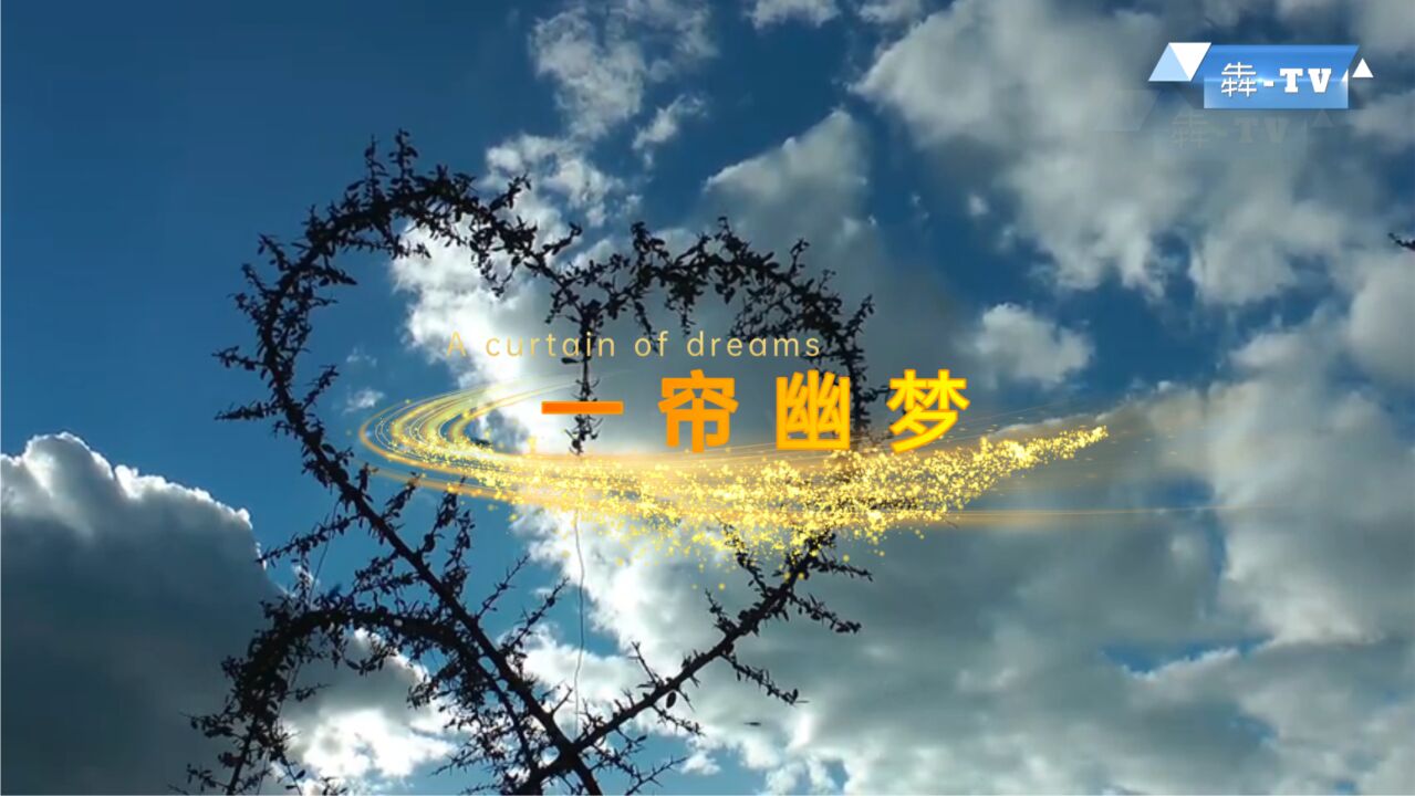 《一帘幽梦》纯音乐MV