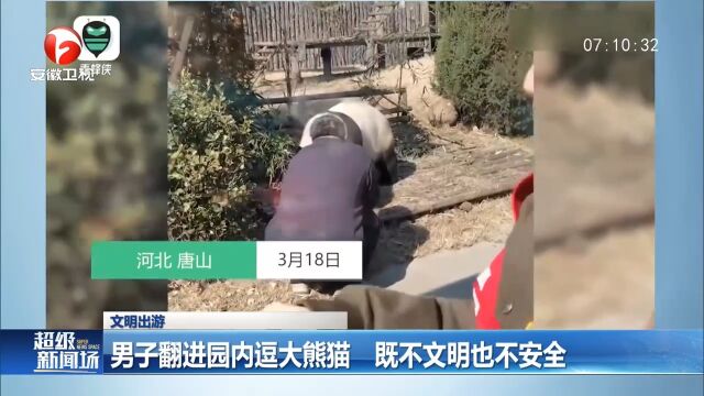 河北唐山:男子翻进园内逗大熊猫,既不文明也不安全